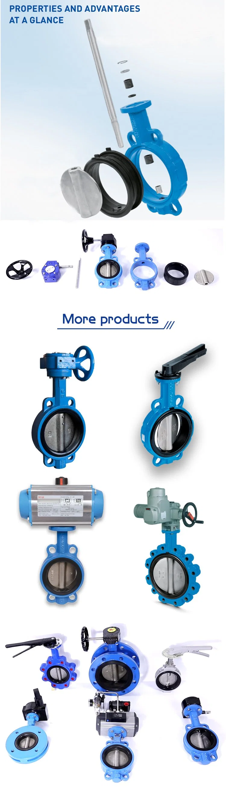 Soft Seat Ductile Cast Iron Gate Valve/Check Valve/Butterfly Valve