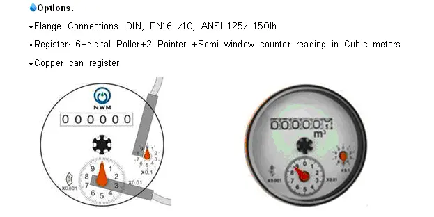 Bulk Water Meter (WP-SDC-PLUS)